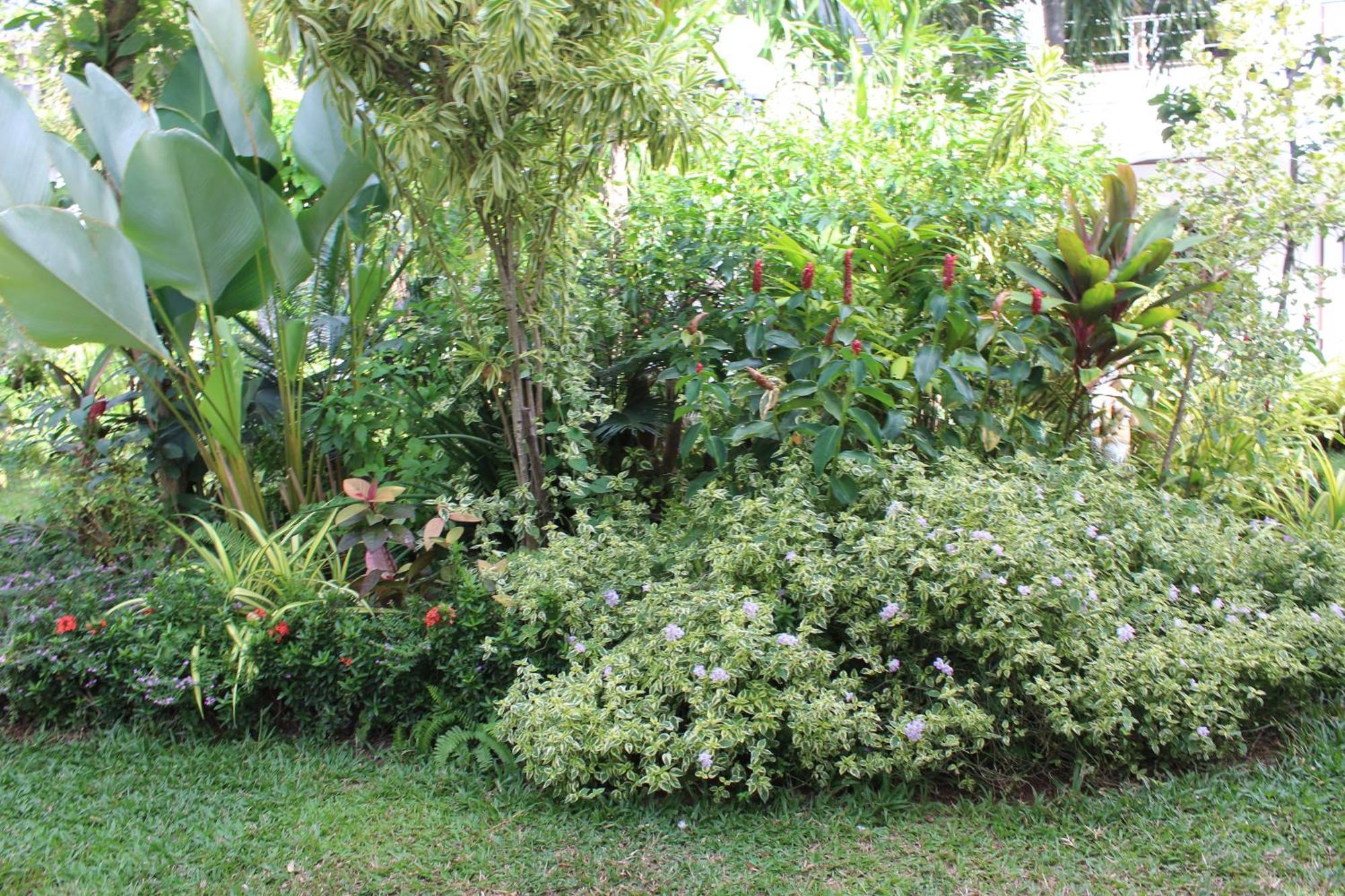 White Elephant Resort Surin Exterior foto